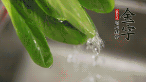 燒一鍋開水，滴一點油，水開后汆燙青菜至斷生即可。