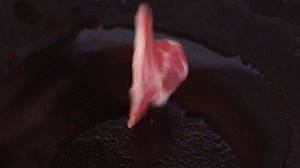 鍋中倒入橄欖油燒熱，放入淡火腿小火煸炒至打卷狀態(tài)。