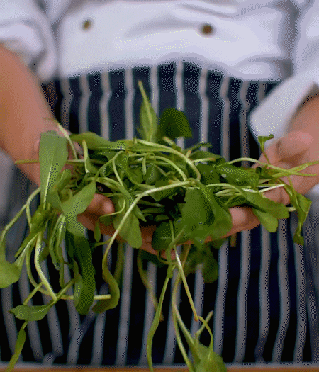 馬蘭頭焯水，切成細末。