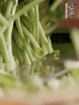 新鮮豌豆苗割下洗凈。